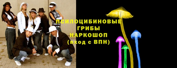 круглые Белокуриха