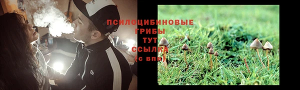 гидра Белоозёрский