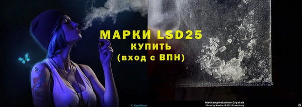 МДПВ Богородицк