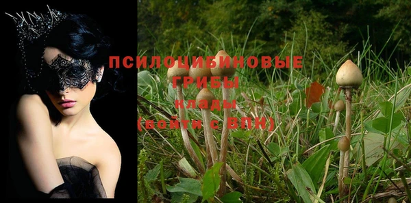 гидра Белоозёрский