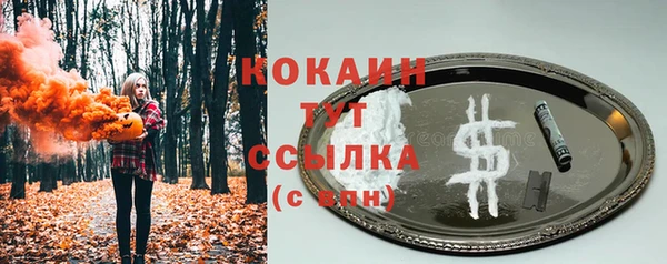 стафф Губаха