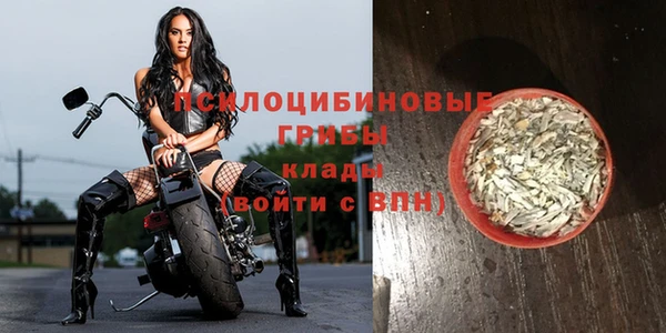 круглые Белокуриха