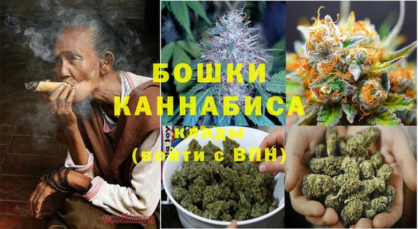 гидра Белоозёрский