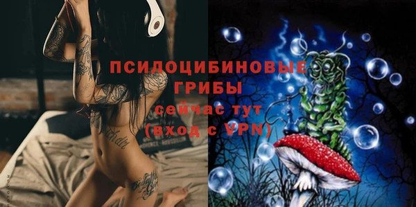 круглые Белокуриха