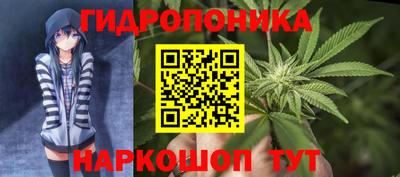 сатива Нальчик