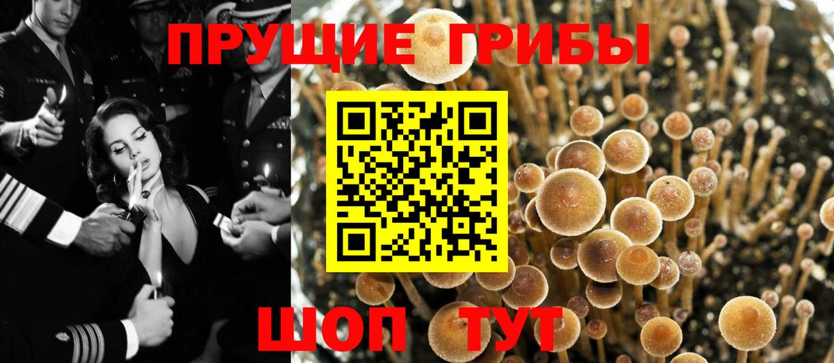 Галлюциногенные грибы Magic Shrooms  Вход с VPN  купить наркотики цена  Бутурлиновка 